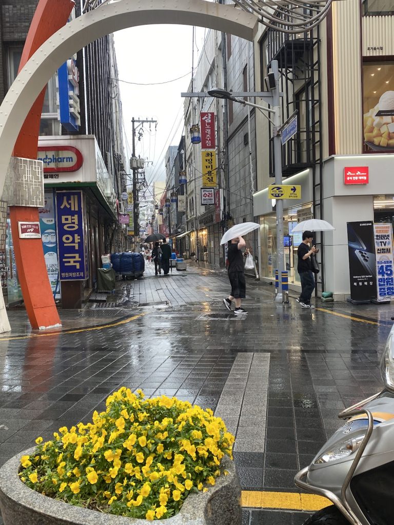 5192742f 7dee 4611 9f19 2ff074fff582